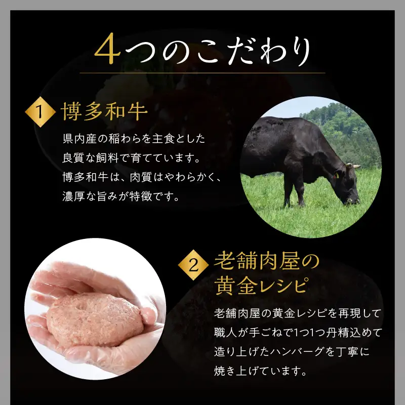 【レンジ対応！】博多和牛熟成ハンバーグ／特製デミソース (10個入り)【A4-047】