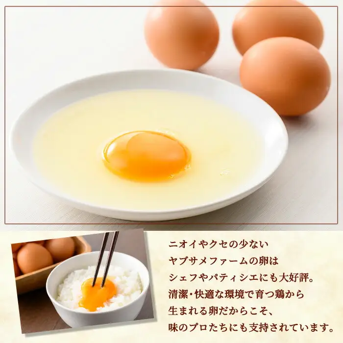 ヤブサメファームのこだわり 酵素卵 60個（30個×2トレー） Mサイズ 冷蔵 鹿児島県産【00-038-02】