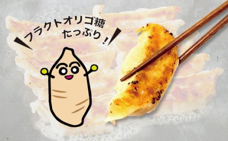 天栄村特産を使ったヤーコン餃子 60個 F21T-181