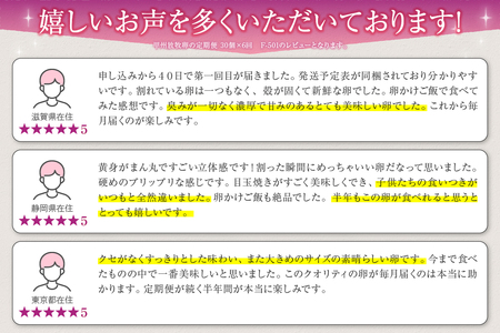 甲州放牧卵の定期便 30個×6回　F-501【卵 たまご 放牧卵 定期便】