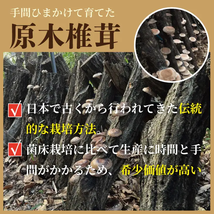 俺の作った原木乾燥しいたけ（サイズ大・中・小・カット）300g 椎茸 B110-038