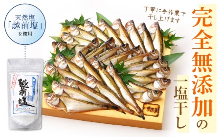 越前産 干しはたはた（3～4尾）× 9パック 完全無添加！越前塩のみで仕上げた一塩干し！【無添加 干物 海鮮 冷凍 個包装】 [e04-a107]
