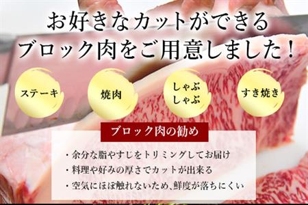 《プロシリーズ》佐賀牛赤身の極み モモブロック1kg 牛肉 ステーキ ローストビーフ ギフト 黒毛和牛 すき焼き しゃぶしゃぶ 希少部位 焼肉 自宅 BBQ アウトドア