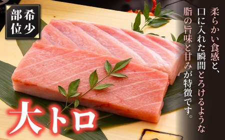 まぐろの王様！生本マグロ 大トロ 300g [e04-b029]