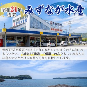 ソフトさきいか(計約600g・100g×6P)干物  海産物 常温 【E-26】【水永水産】