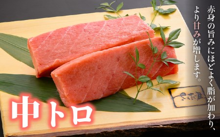  まぐろの王様！生本マグロ 中トロ 300g  [e04-a081]