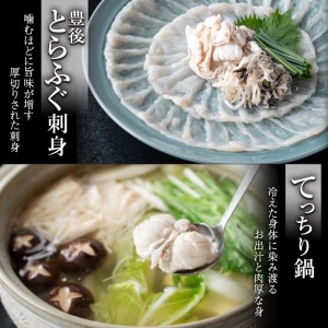 数量限定！豊後水道 天然とらふぐ 特別便 (約5人前) ふぐ フグ とらふぐ ヒレ 皮 アラ てっちり鍋 鍋 ふぐ唐揚げ ふぐ刺し フグ刺し 刺身 鮮魚 冷蔵 国産【AB104】【柳井商店】