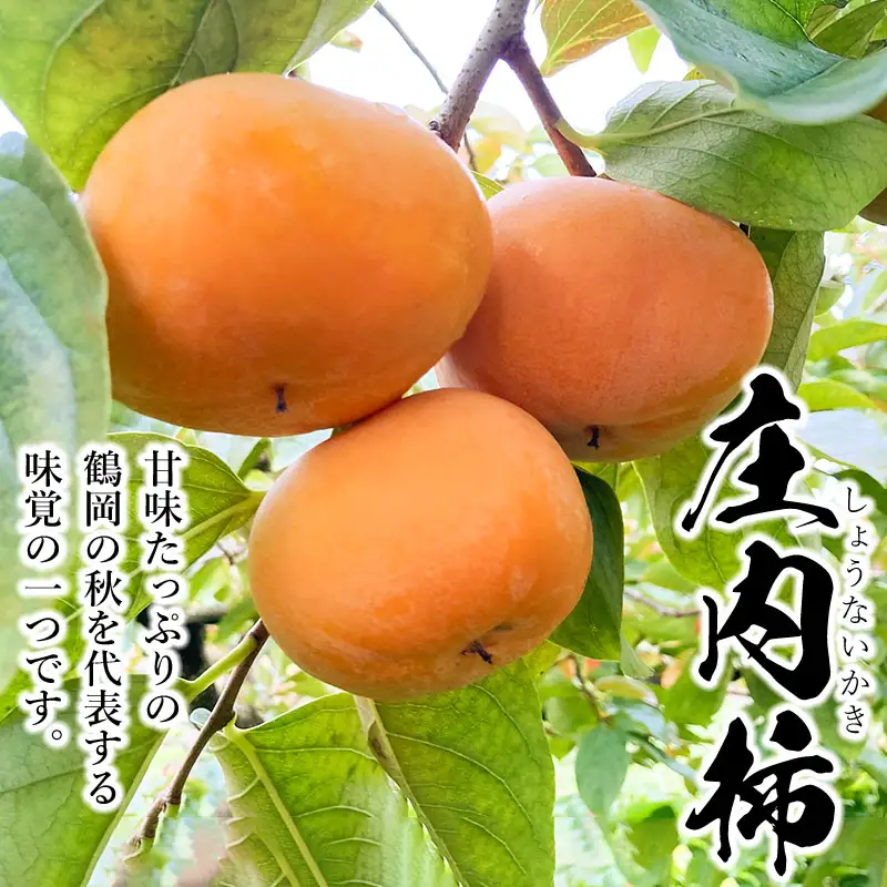 【令和8年産 先行予約】厳選 庄内柿　L 又は 2Lサイズ　約5kg（24～26個）　株式会社 元青果