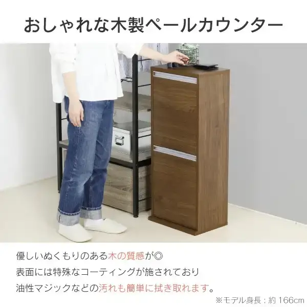 木製2分別ダストボックス ブラウン ゴミ箱 完成品 燕三条製 [川口工器]
