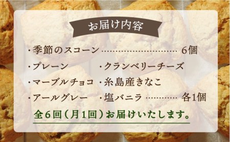 【全6回定期便】定番 ＆ 季節 の スコーン 12個セット 糸島市 / スコーン専門店キナフク 焼き菓子 焼菓子 洋菓子 スイーツ パン [AFA016]