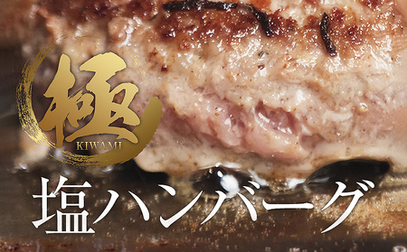 【極・塩ハンバーグ】8個セット　前沢牛100％使用　訳あり/肉 高級 牛 牛肉 和牛 前沢牛 奥州 ブランド牛 極 国産牛 塩 岩塩 個包装 人気 返礼品 バーベキュー  おいしい 冷凍 小分け おすすめ おかず 夕食 お弁当 ランチ はんばーぐ 夕飯 お祝い 父の日 母の日 記念日 送料無料 プレゼント ギフト 贈答 おすすめ お取り寄せ