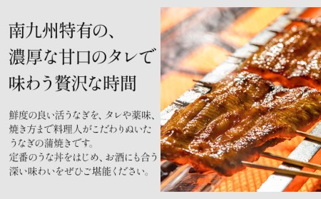 うなぎ 蒲焼 うなぎ[国産 2尾 160g ぶどう山椒付]