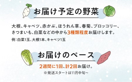【11月中旬～12月下旬発送】2回定期便 旬の冬野菜定期便 雪国飛騨の美味しい冬野菜セット 3種類以上 大根 キャベツ 赤かぶ ほうれん草 春菊 ブロッコリー さつまいも 白菜 野菜 産地直送[Q1423]
