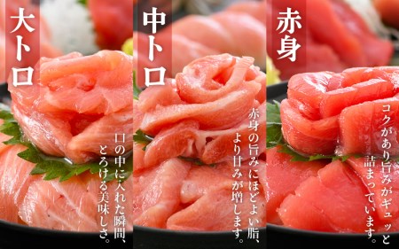 まぐろの王様！生本マグロ！まぐろ三昧セット合計900g前後（赤身・中トロ・大トロ各約300g） [e04-e005]