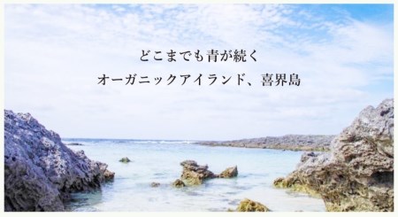 喜界島の長命草茶　ティーバック(２ｇ/10包入)×３袋