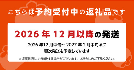 【2026年12月より順次発送】柿の王様 池尻農園 田主丸町の富有柿(冷蔵)2L 16玉入り 約4.2㎏_柿 約 4.2kg 富有柿 2L サイズ 16玉 入り 個包装 柿の王様 甘柿 人気 高い 国産 フルーツ 果物 高品質 天皇への献上品 福岡県 久留米市 田主丸 お取り寄せ お取り寄せフルーツ 冷蔵 生食 食品 食べ物 送料無料 〔Fk106〕