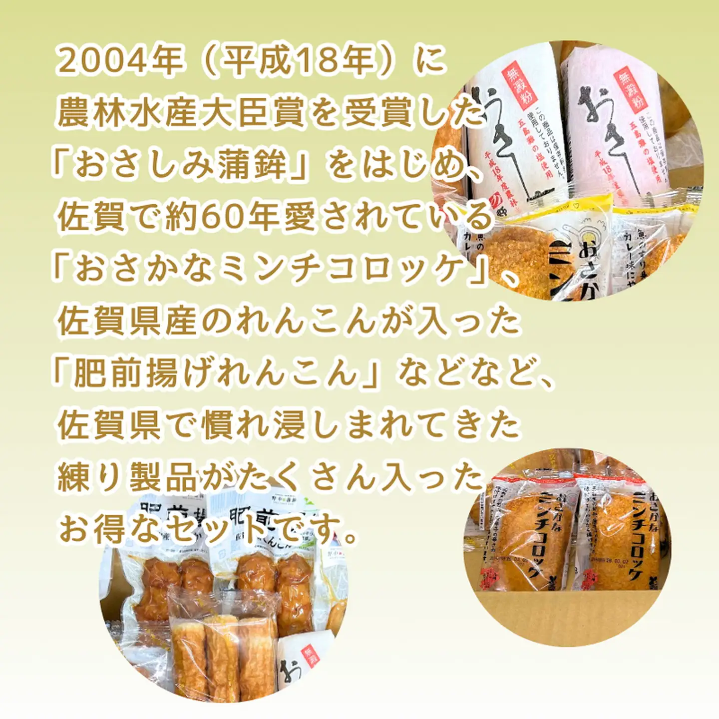 佐賀の人気商品どーんと12品！がばいうまか：B160-043