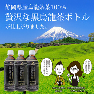 【定期便3か月】静岡県産 黒烏龍茶 500ml × 24本 いなば園 黒烏龍茶
