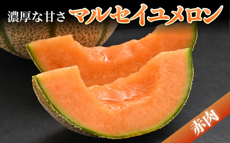 【先行予約】佐藤農園の小玉スイカ・マルセイユメロン セット 計2玉（約2.5kg～3kg） 秀品 農家直送 有機肥料 低農薬 ※2026年6月上旬より順次発送 [aw069-a004]