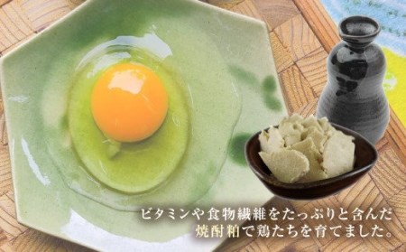 【定期便 年6回】球磨球子 40個入×6回 鶏卵 卵 玉子 たまご くまたまご（破損保証有り）