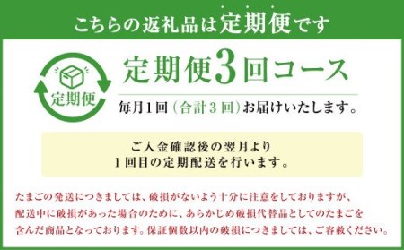 【定期便年3回】 球磨球子 60個入 卵 たまご 鶏卵 卵 玉子 たまご くまたまご（破損保証有り）