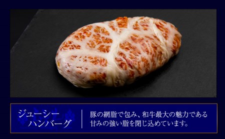 白老牛 2種 食べ比べ ハンバーグ セット 合計10個 BY083