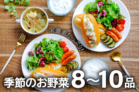 B-810【3回定期便】季節のお野菜と平飼い卵のセット (8～10品)