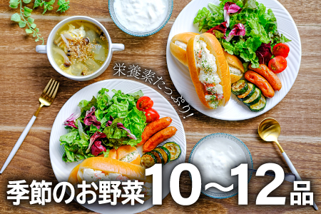 C-811 【3回定期便】季節のお野菜と平飼い卵のセット (10~12品)