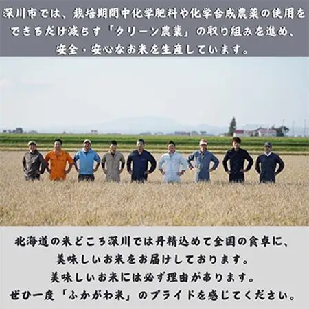 【令和7年産】北海道深川産ななつぼし10kg(5kg×2袋)(普通精米)【1296660】