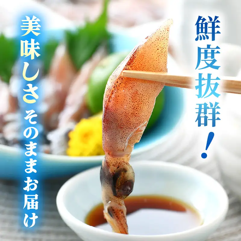【TVで紹介！】 急速冷凍 生 ホタルイカ 21尾入 × 3 計約420g（刺身・しゃぶしゃぶ用） ほたるいか  [e15-a014]