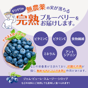無農薬栽 冷凍完熟ブルーベリー1kg 果物 くだもの フルーツ 完熟 冷凍 ブルーベリー ジャム ピューレー スムージー シロップ 国産 農薬無使用 おいしい ビタミン 食物繊維 ミネラル 三重県 多気町 FR-01