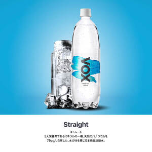 強炭酸水 【3か月定期便】VOX ストレート バナジウム 1000ml 15本 炭酸