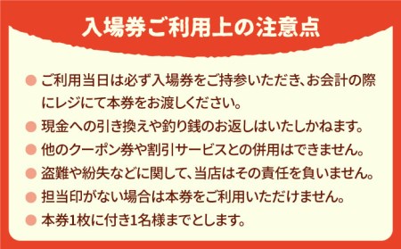 吉野ベリー入場券(1枚) 吉野ヶ里町/吉野麦米 イチゴ狩り ブルーベリー狩り[FCR001]