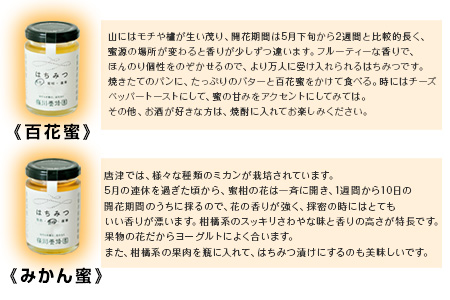 唐津産はちみつ2種セット(百花蜜160g・みかん蜜160g) 純粋はちみつ 蜂蜜 ハチミツ スイーツ ギフト