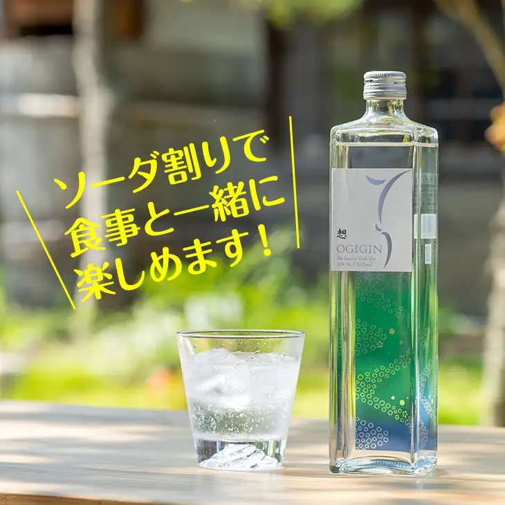 天山名水でつくる小城のクラフトジン OGIGIN想プレミアム700ml X 12本セット F200-001