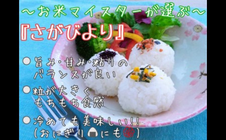 《マイスターセレクト》さがびより【白米】5kg【特A評価】 086-B771 米 お米 精米 白米