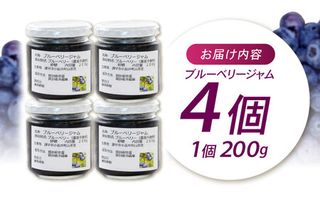 果肉ごろごろ手作りブルーベリージャム 200g×4個 / ジャム ブルーベリージャム ブルーベリー ベリー / 諫早市 / 横林ブルーベリー園 [AHCS001] 
