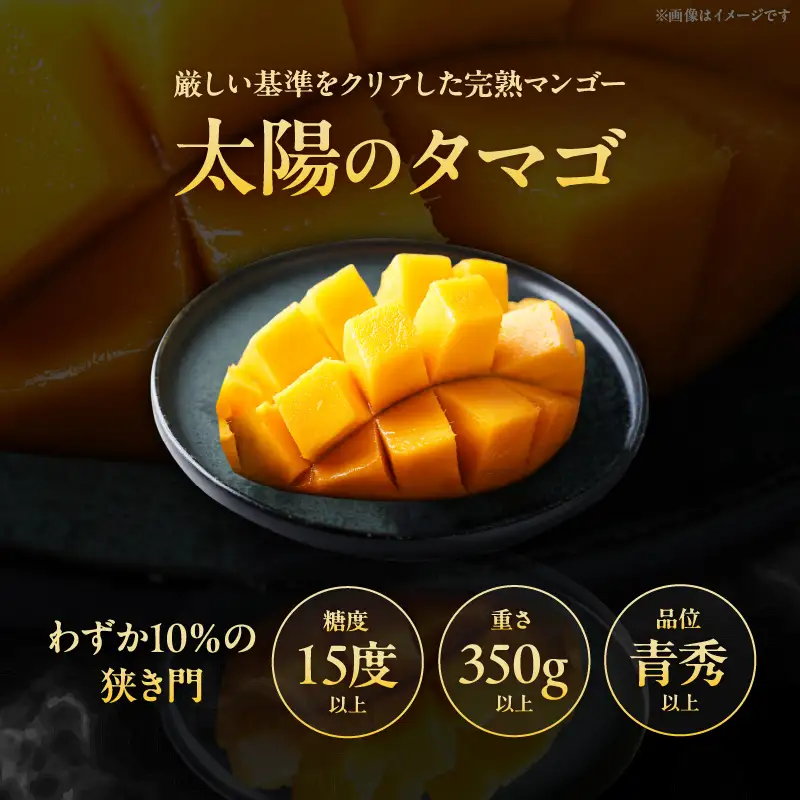 【先行予約/数量限定】完熟マンゴー『太陽のタマゴ』２玉（約１kg）/ 太陽のタマゴ 濃厚 甘い マンゴー 果物 宮崎県 綾町【JA綾町】_A0114-1001