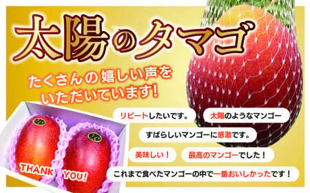 【先行予約/数量限定】完熟マンゴー「太陽のタマゴ」５L×１玉 濃厚 宮崎県産 高級 果物 フルーツ 贈答 ギフト 太陽のタマゴ 送料無料【JA綾町】_A0114-2321