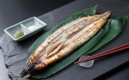 鹿児島県大隅産　千歳鰻の 白焼 鰻　10尾 ｜うなぎ うなぎ