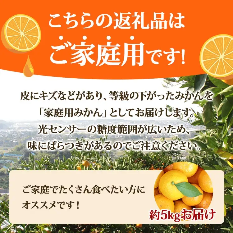 【訳あり】家庭用山北みかん 約5kg ミカン蜜柑 ku-0054