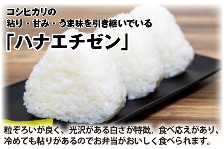 【先行予約】【令和8年産・新米】 ハナエチゼン5kg × 1袋 ～本原農園からまごころコメて～（白米）【2026年9月上旬以降順次発送予定】  [A-8984_01]