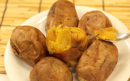 種子島 石蔵熟成 冷凍 安納焼いも 西田農産 500g ×5袋　NFN118 【350pt】