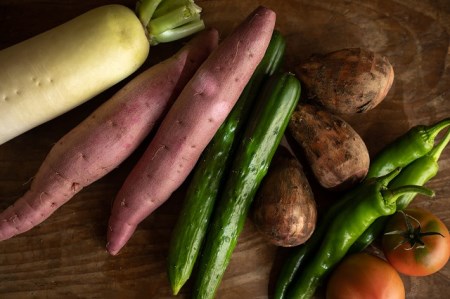 越知産市の季節の野菜セット(年6回発送) 奇数月