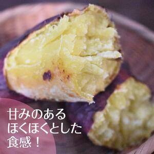 2025年度産 ホクホクで甘いさつまいも すずほっくり 約5kg｜さつまいも 芋 お芋 すずほっくり 渋谷農園 茨城県 行方市(BZ-13)