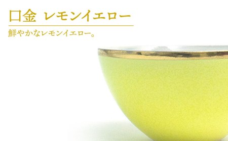 【美濃焼】Bowl LL 口金 レモンイエロー【RYOTA AOKI POTTERY/青木良太】 陶芸家 食器 美濃焼 丼ぶり どんぶり 丼 麺鉢 ボウル 鉢 大鉢 和食器 おしゃれ ラーメン鉢 うどん丼ぶり そば丼ぶり 丼物 カフェ丼 送料無料 黄色 イエロー [MCH214]