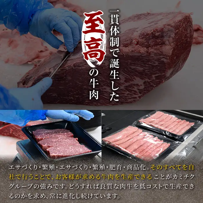 鹿児島県産 黒毛和牛 A5等級 赤身 ステーキ (300g×1P)＆ 焼肉 (200g×1P) 合計500g 牛肉 国産 冷凍【LRプラスK】A327-v01