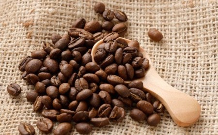 【3ヶ月定期便】コーヒー豆 500g（豆）オリジナルブレンド業務用珈琲専門店の味 スペシャルティコーヒー コーヒー 珈琲 ブレンド coffee