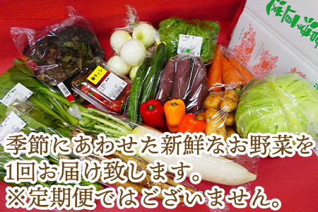 野菜セット 新鮮とれたて旬の野菜 季節の野菜 詰合せ サラダ