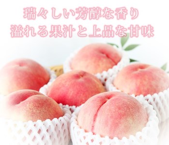 桃 化粧箱入秀品 紀州の桃 3玉※2026年6月下旬頃〜2026年8月上旬頃順次発送（お届け日指定不可）【uot750】